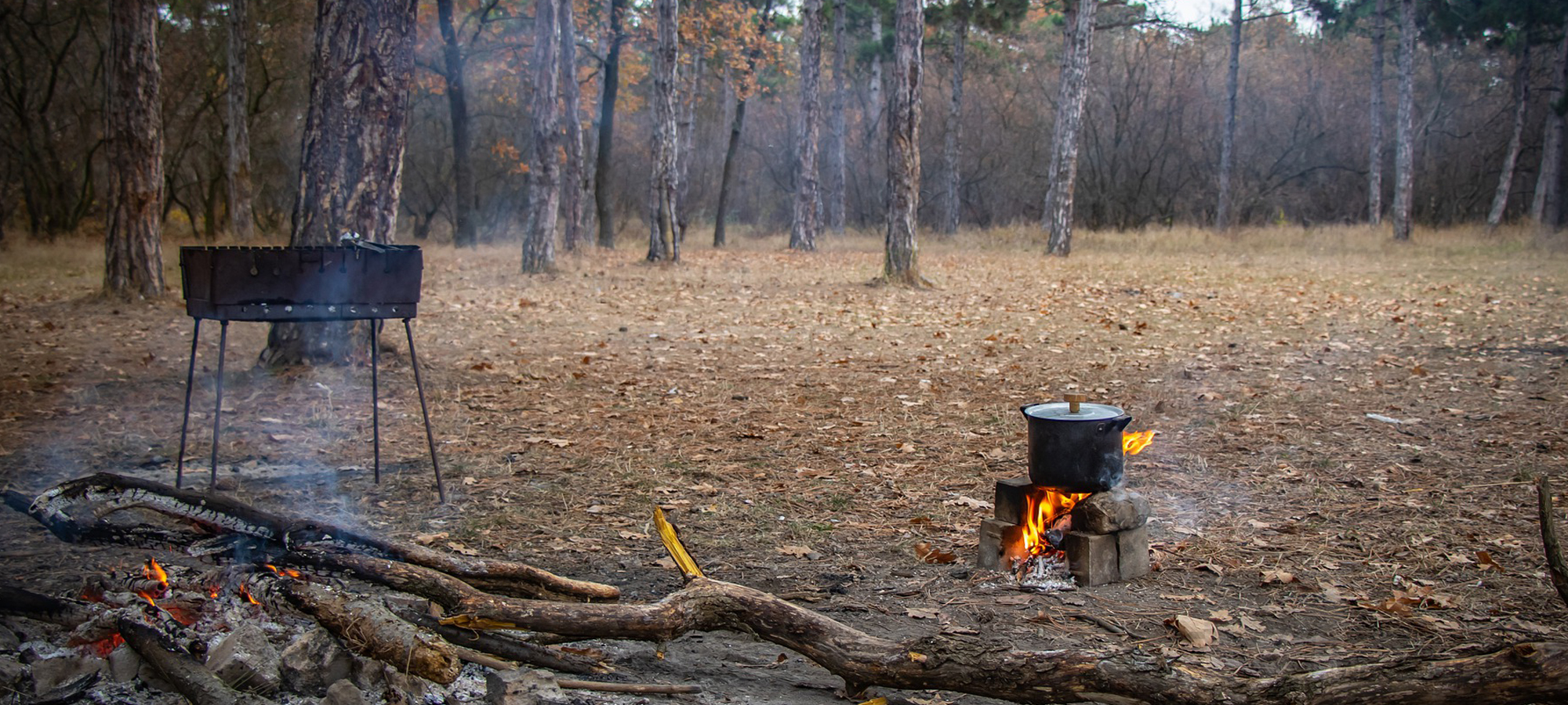 Grillen und Feuer im Freien